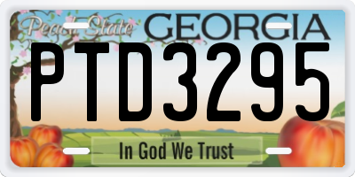 GA license plate PTD3295