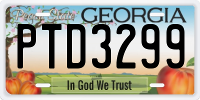 GA license plate PTD3299