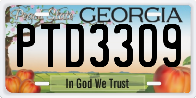 GA license plate PTD3309