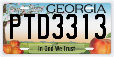 GA license plate PTD3313