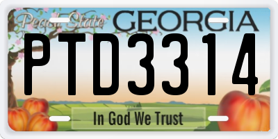 GA license plate PTD3314