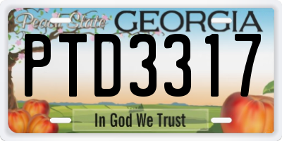 GA license plate PTD3317