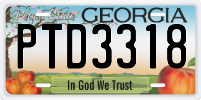 GA license plate PTD3318