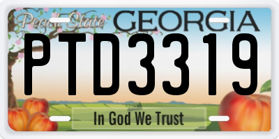 GA license plate PTD3319