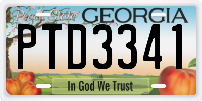 GA license plate PTD3341