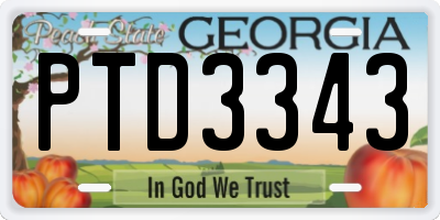 GA license plate PTD3343