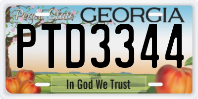 GA license plate PTD3344