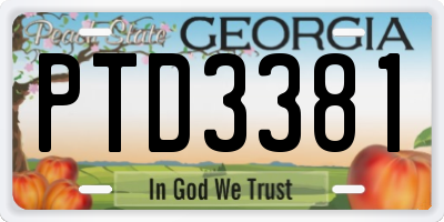 GA license plate PTD3381