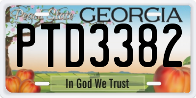 GA license plate PTD3382