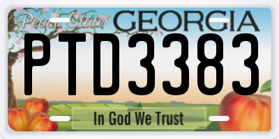 GA license plate PTD3383