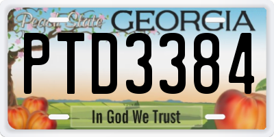 GA license plate PTD3384