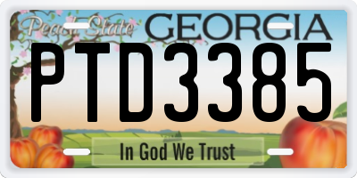GA license plate PTD3385