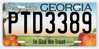 GA license plate PTD3389