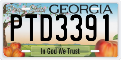GA license plate PTD3391