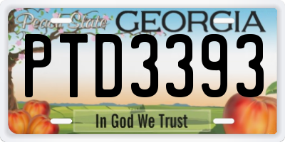 GA license plate PTD3393