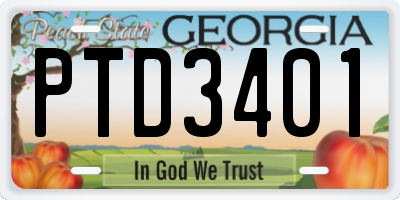 GA license plate PTD3401