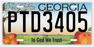 GA license plate PTD3405