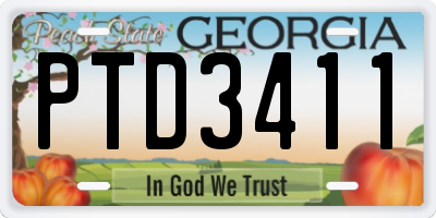GA license plate PTD3411