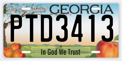 GA license plate PTD3413