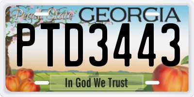 GA license plate PTD3443