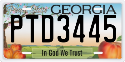 GA license plate PTD3445