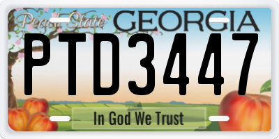 GA license plate PTD3447