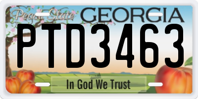 GA license plate PTD3463