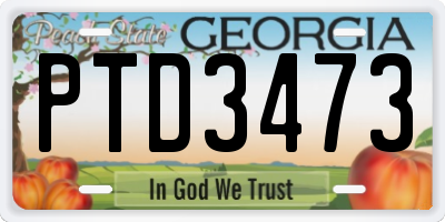 GA license plate PTD3473