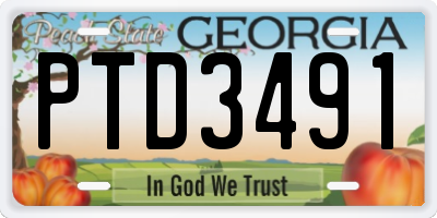 GA license plate PTD3491