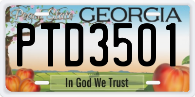 GA license plate PTD3501