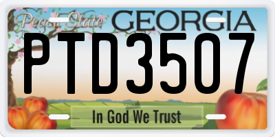 GA license plate PTD3507