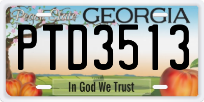 GA license plate PTD3513