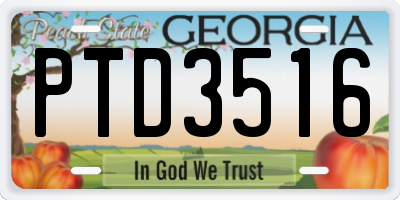 GA license plate PTD3516