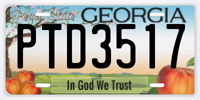 GA license plate PTD3517