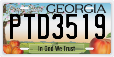 GA license plate PTD3519