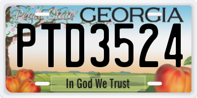 GA license plate PTD3524