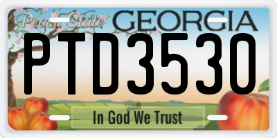 GA license plate PTD3530