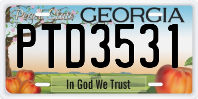 GA license plate PTD3531
