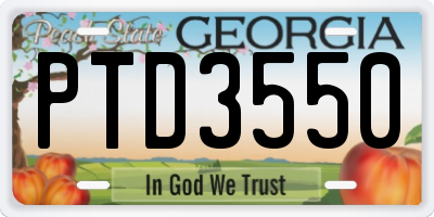 GA license plate PTD3550