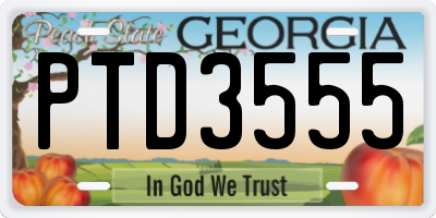 GA license plate PTD3555