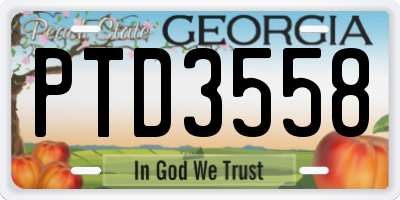 GA license plate PTD3558