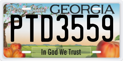 GA license plate PTD3559