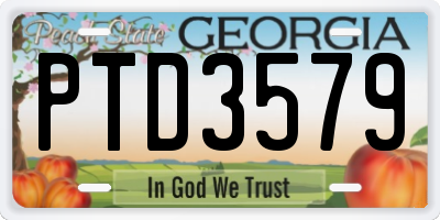 GA license plate PTD3579