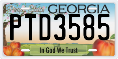 GA license plate PTD3585
