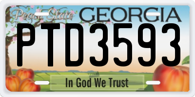 GA license plate PTD3593