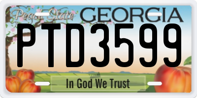 GA license plate PTD3599