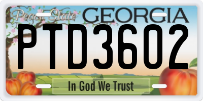 GA license plate PTD3602