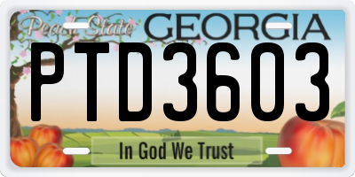 GA license plate PTD3603