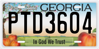 GA license plate PTD3604