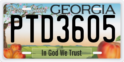 GA license plate PTD3605